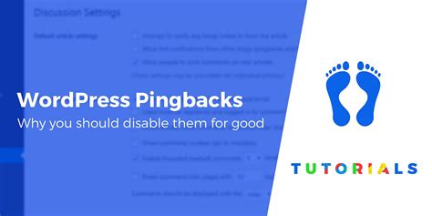 WordPress Pingbacks and Trackbacks Explained + Why to.
